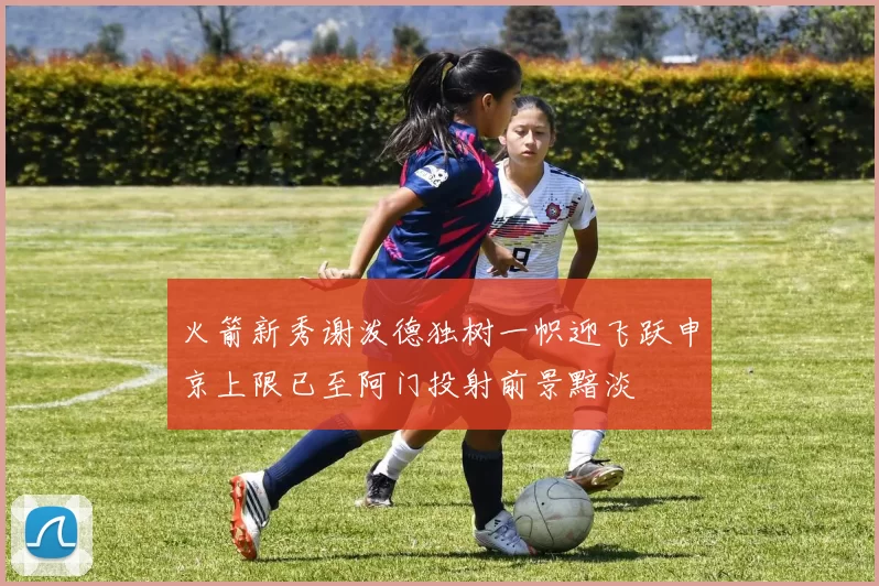 火箭新秀谢泼德独树一帜迎飞跃申京上限已至阿门投射前景黯淡