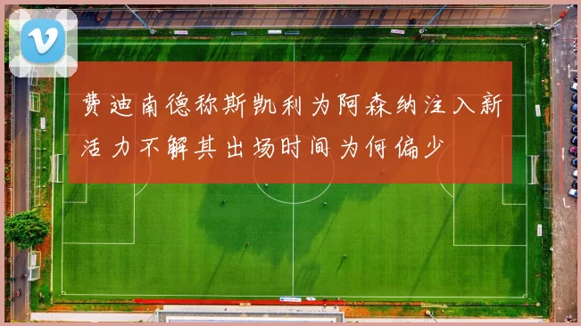 费迪南德称斯凯利为阿森纳注入新活力不解其出场时间为何偏少